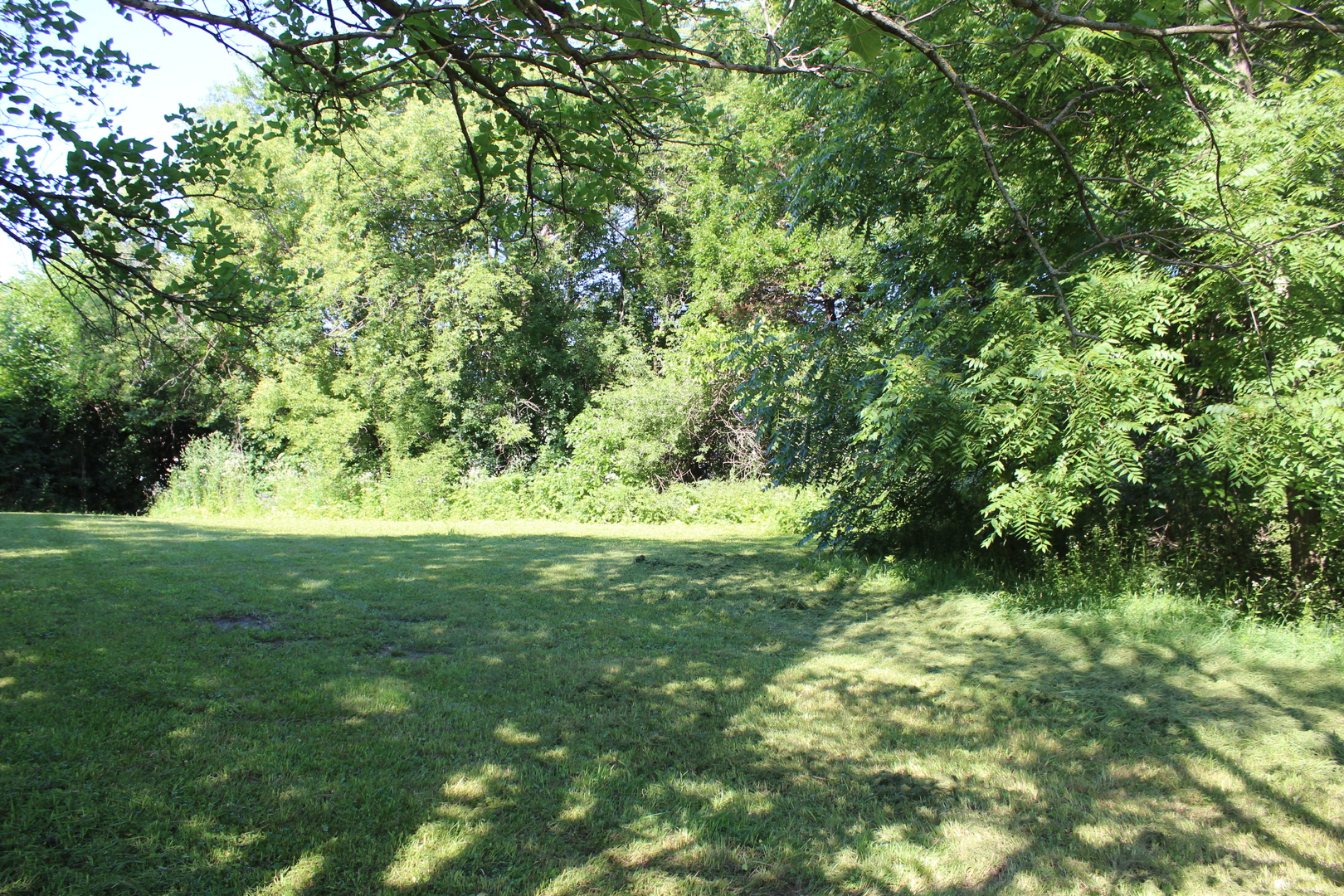 31918 Hillside Drive Property Photo 7