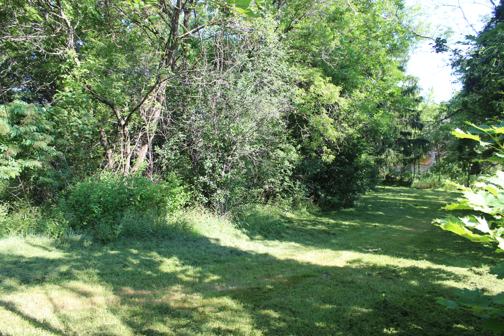31918 Hillside Drive Property Photo 8