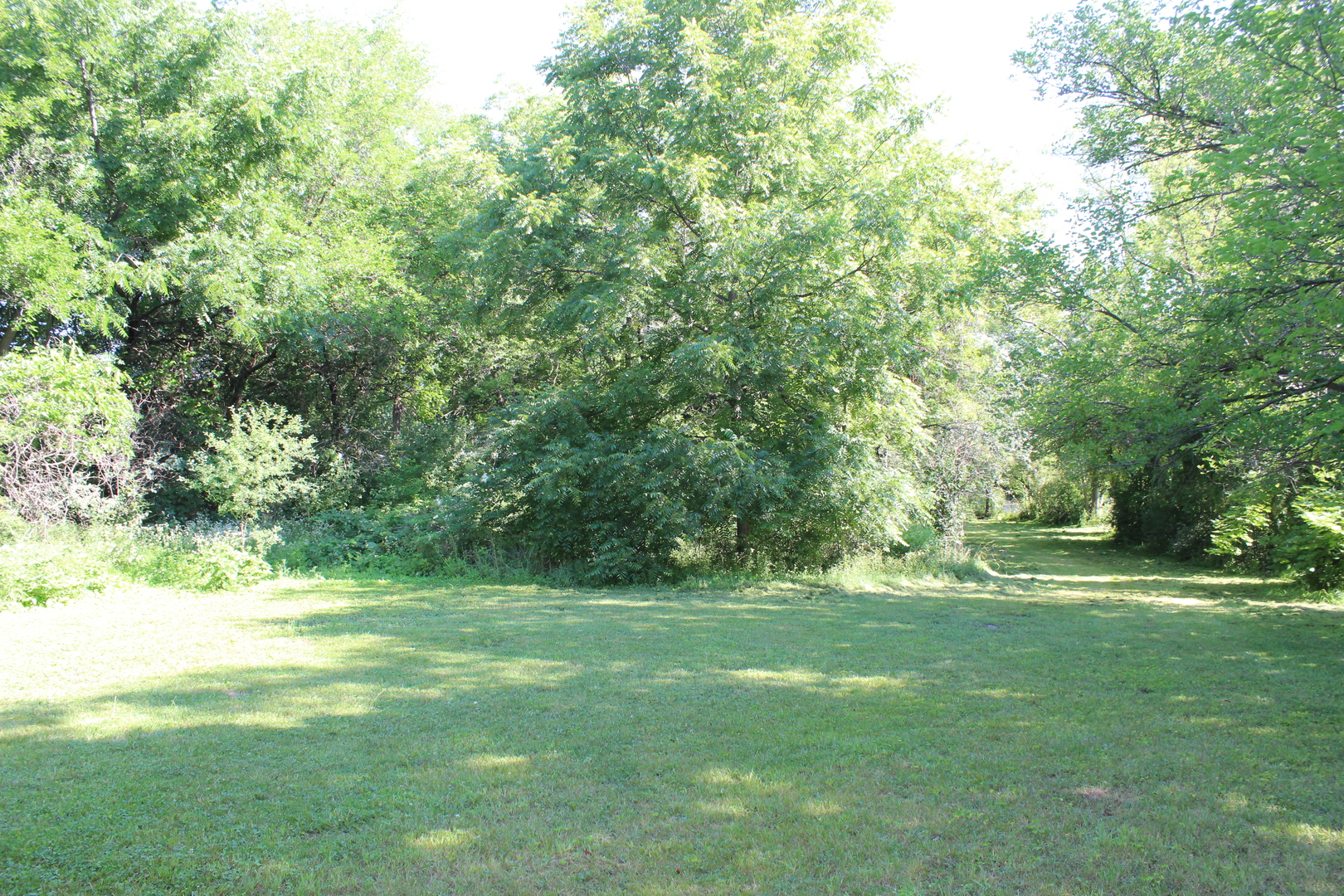 31918 Hillside Drive Property Photo 11