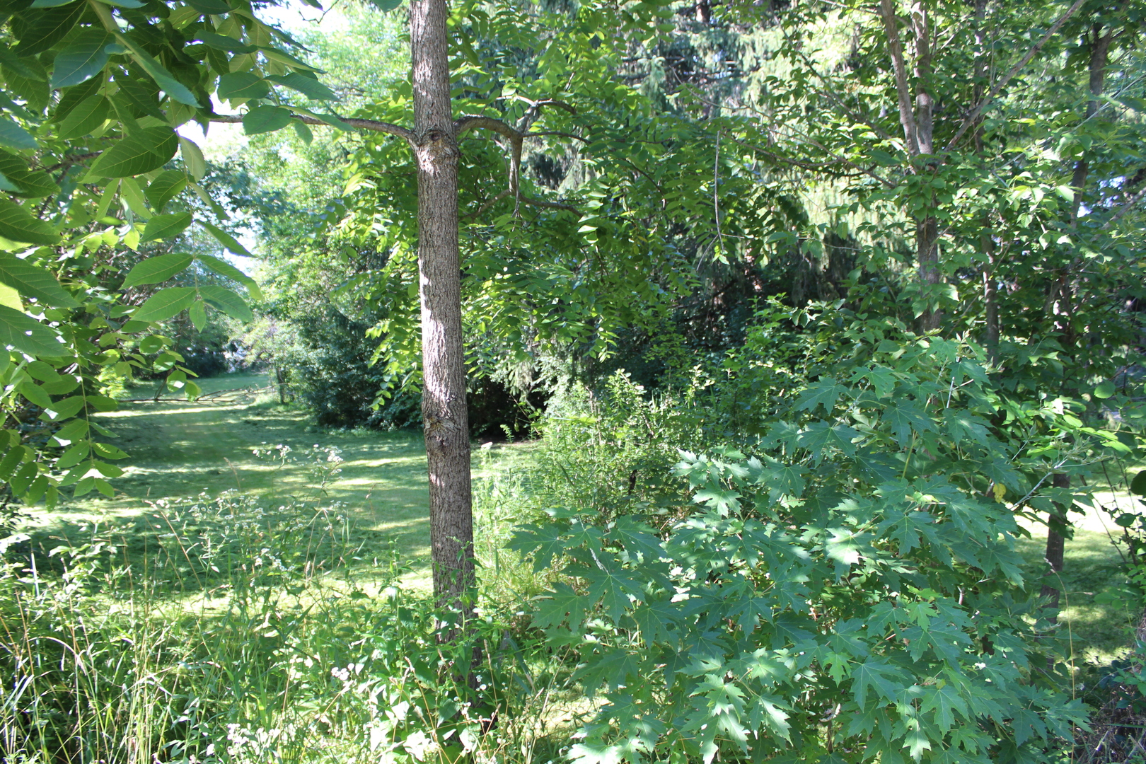31918 Hillside Drive Property Photo 14