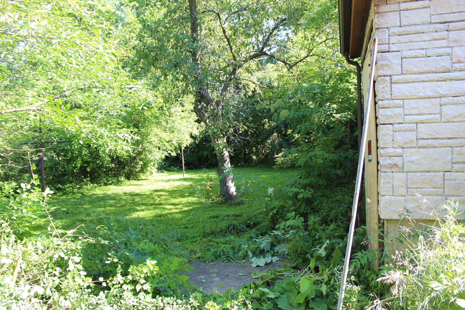 31918 Hillside Drive Property Photo 16