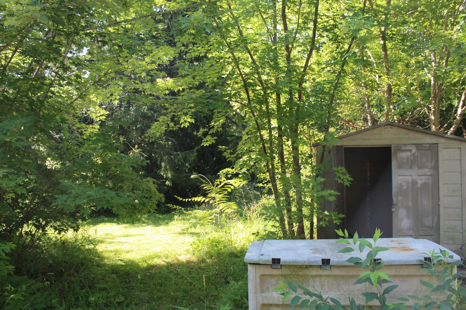 31918 Hillside Drive Property Photo 17