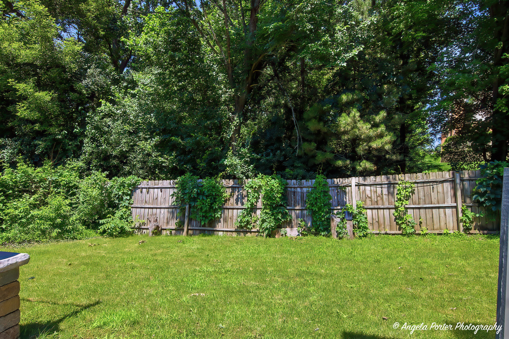 2812 Jethro Court Property Photo 27