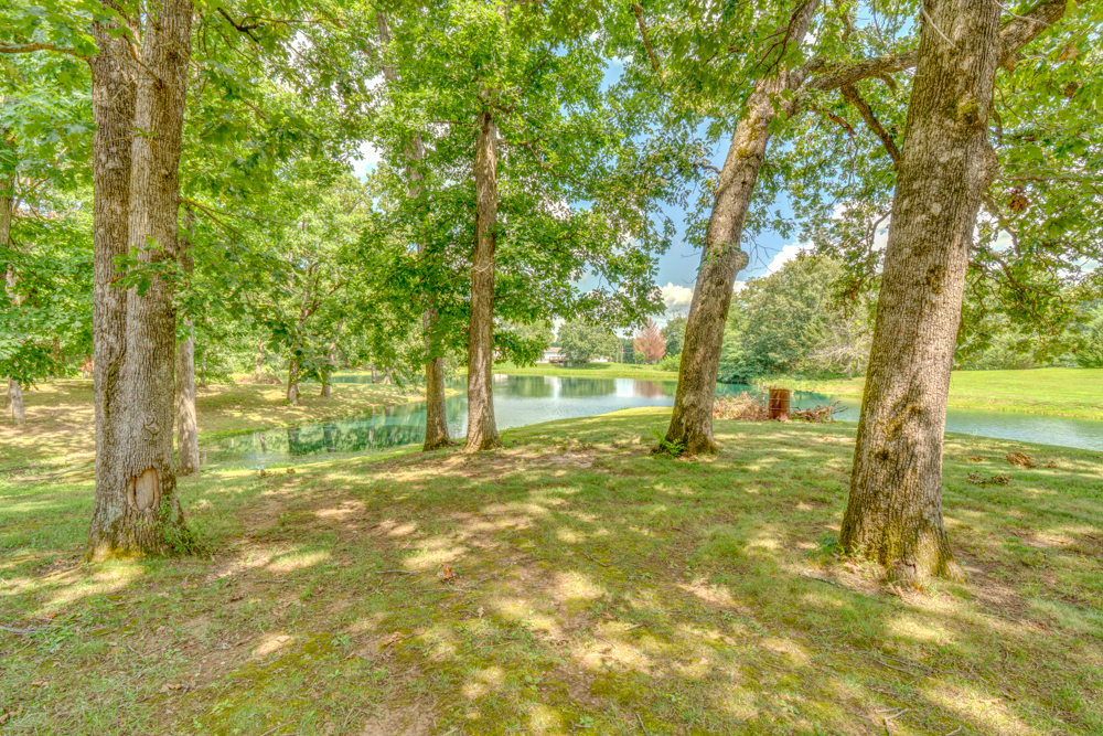 14798 N Serenity Lane Property Photo 44