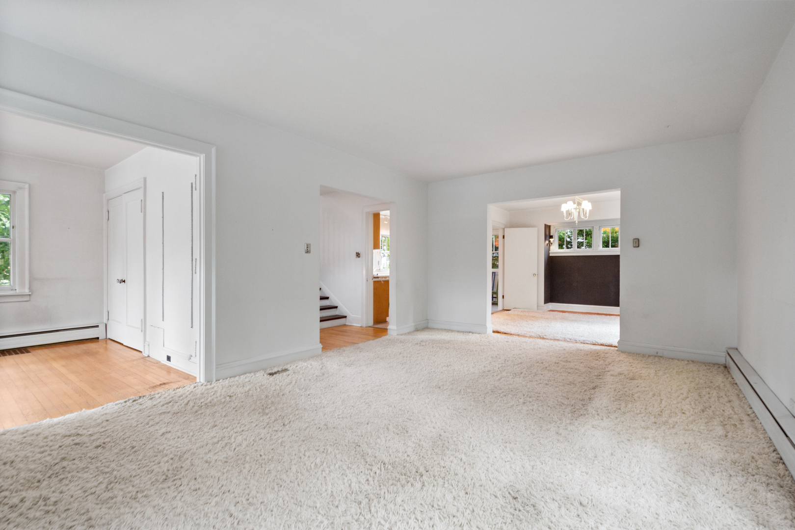 1011 Crain Street Property Photo 4
