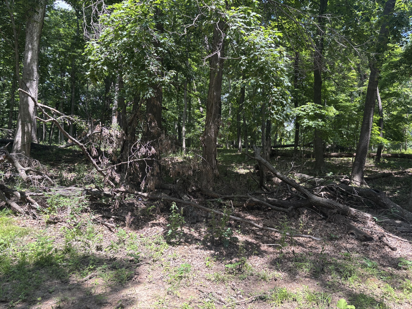 1805 Tanglewood Drive Property Photo 1