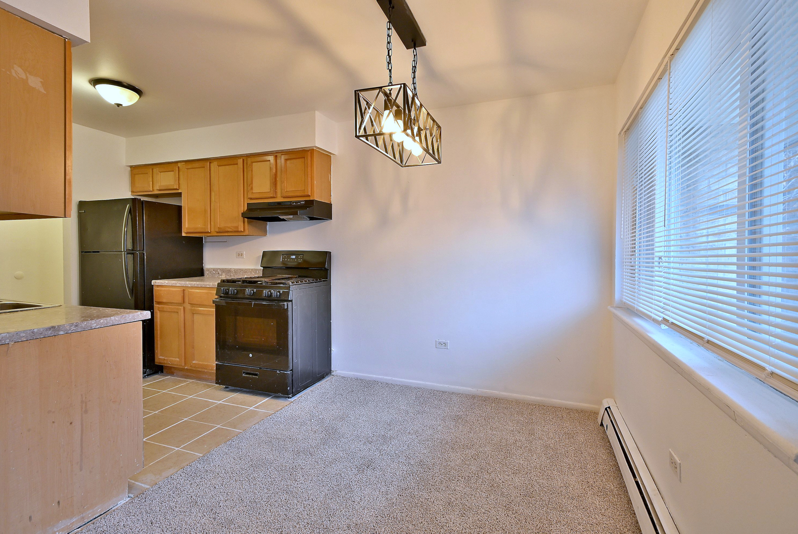 8637 1/2 W Foster Avenue 1b Property Photo 15