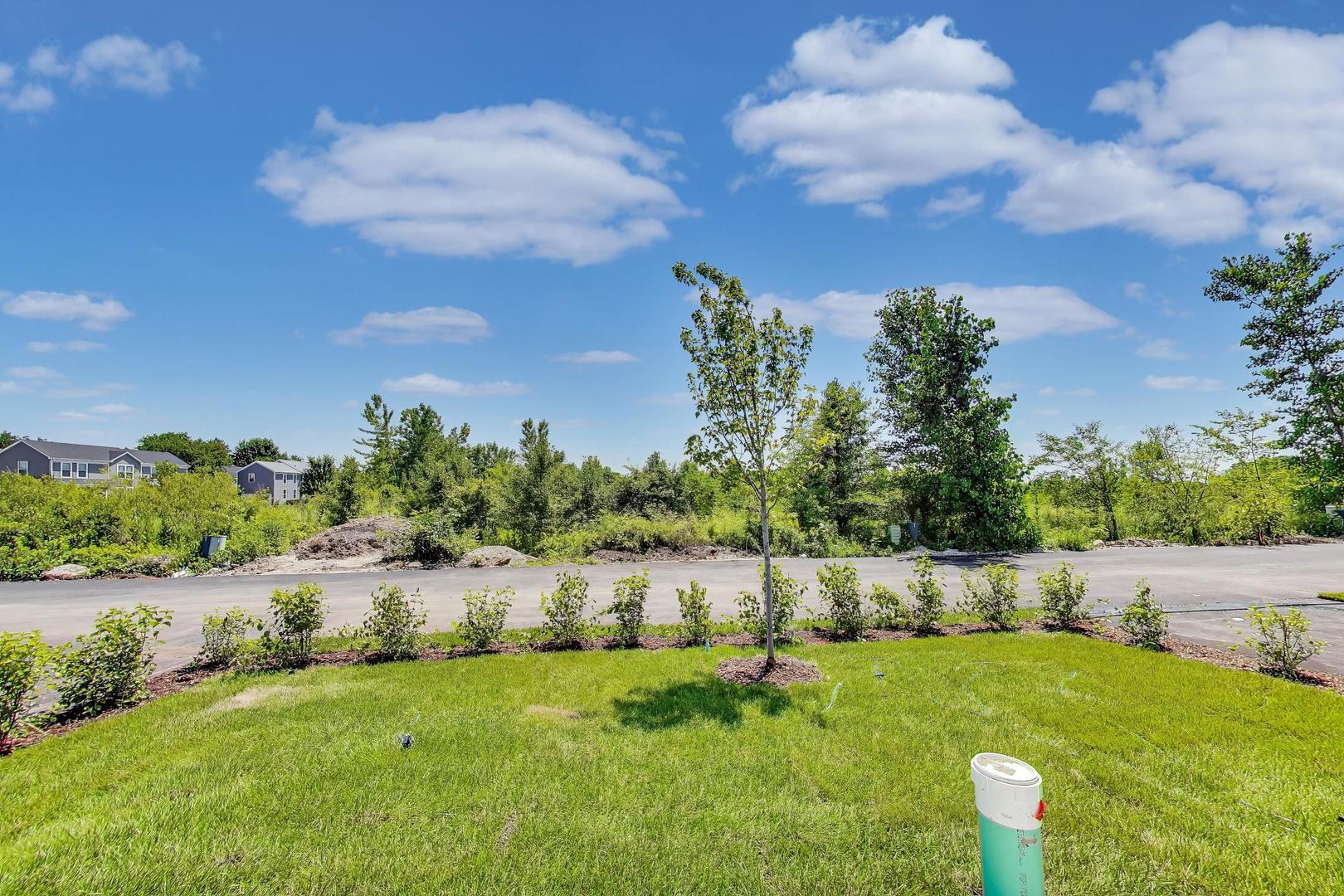 1047 Celebration Drive Property Photo 4