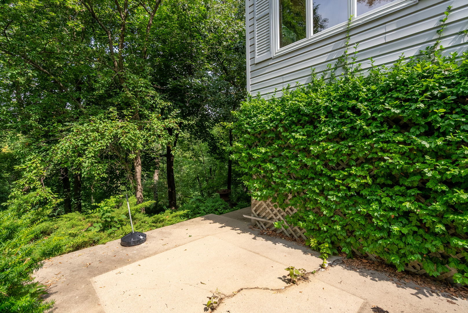 2127 17th Avenue Property Photo 59