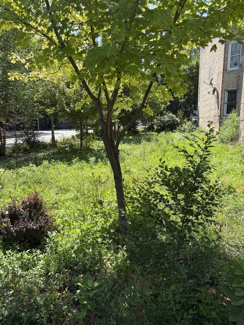 1449 S Spaulding Avenue Property Photo 5