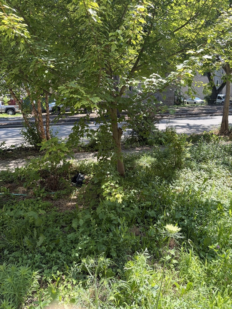 1449 S Spaulding Avenue Property Photo 7