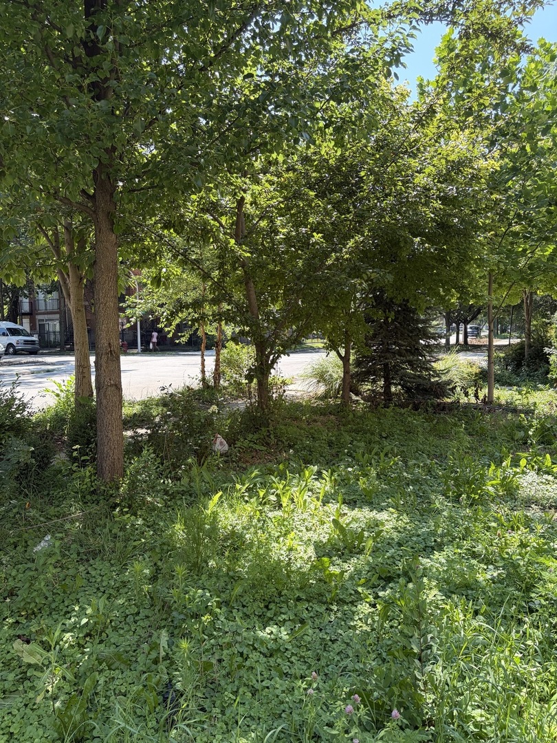 1449 S Spaulding Avenue Property Photo 8