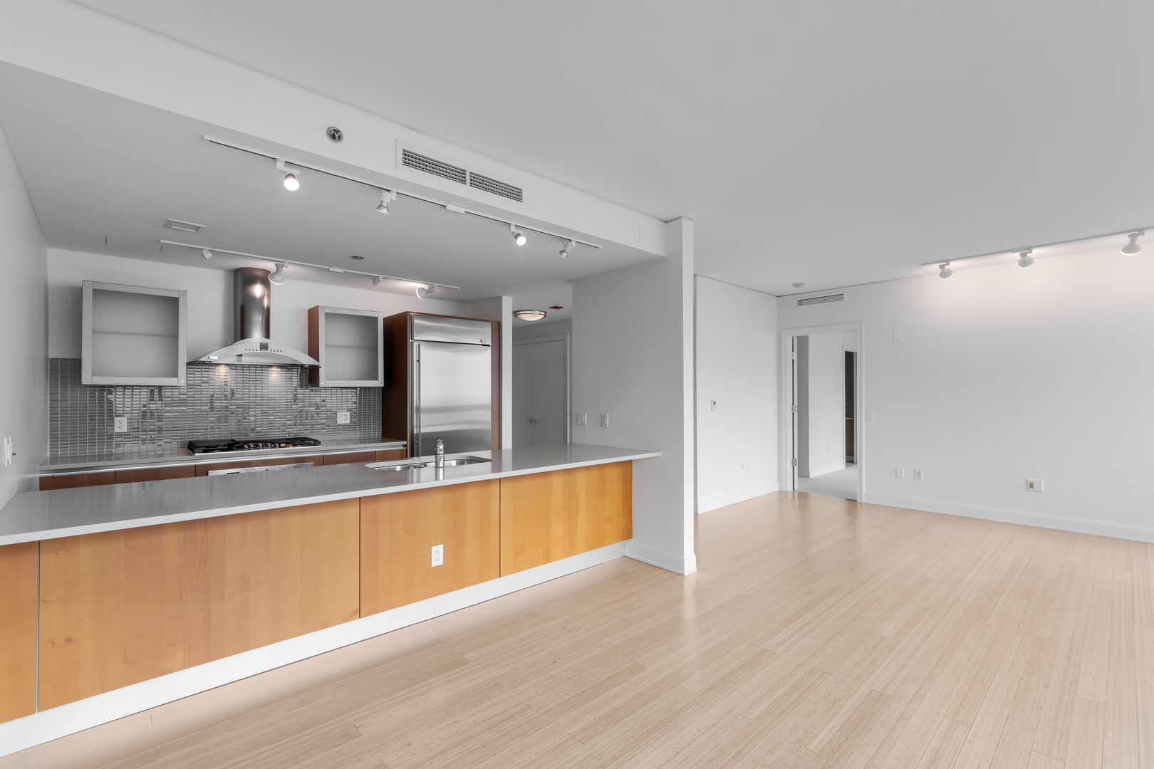 340 E Randolph Street 2905 Property Photo 11