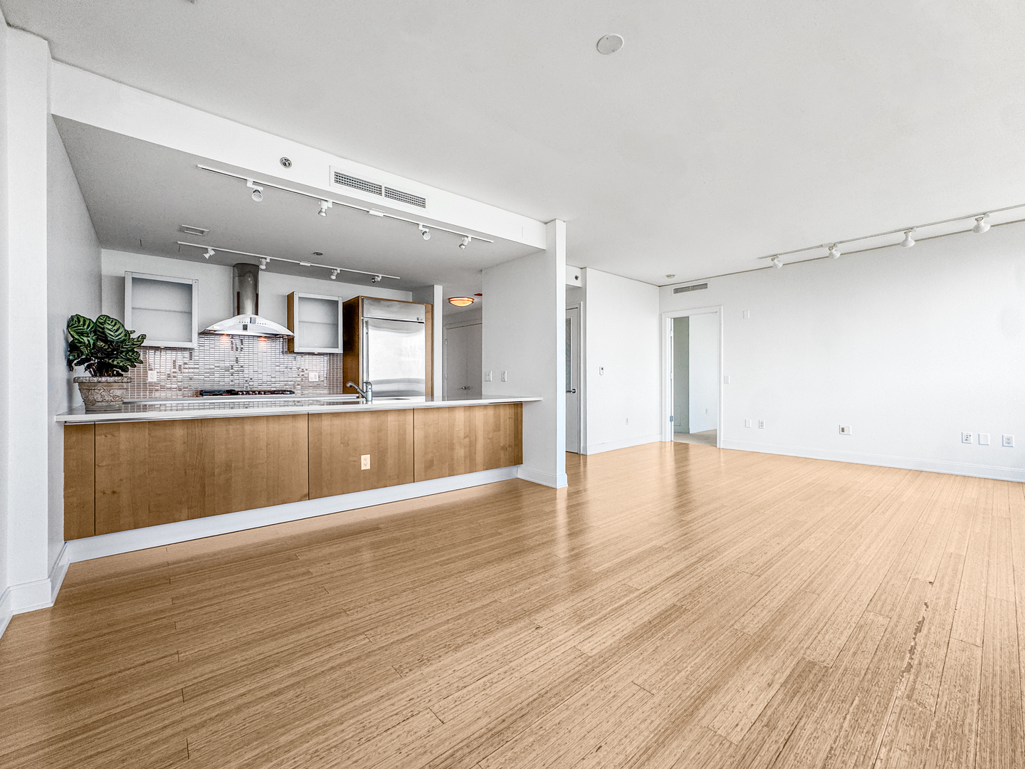 340 E Randolph Street 2905 Property Photo 16