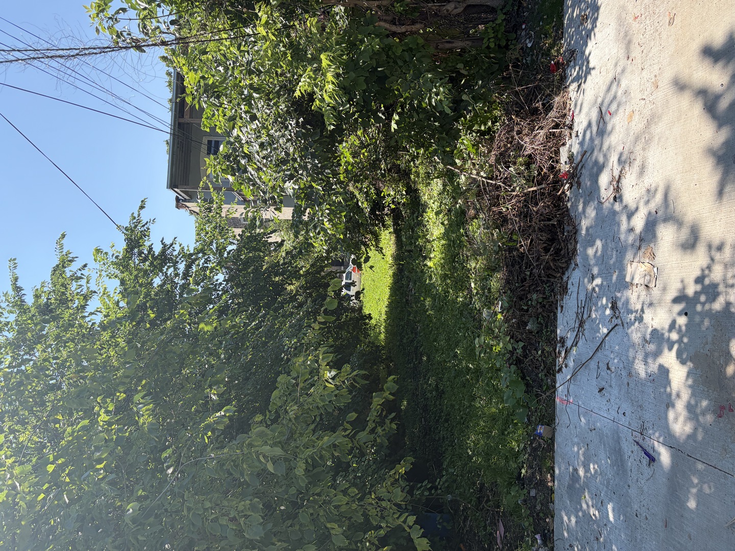 1623 S Central Park Avenue Property Photo 3