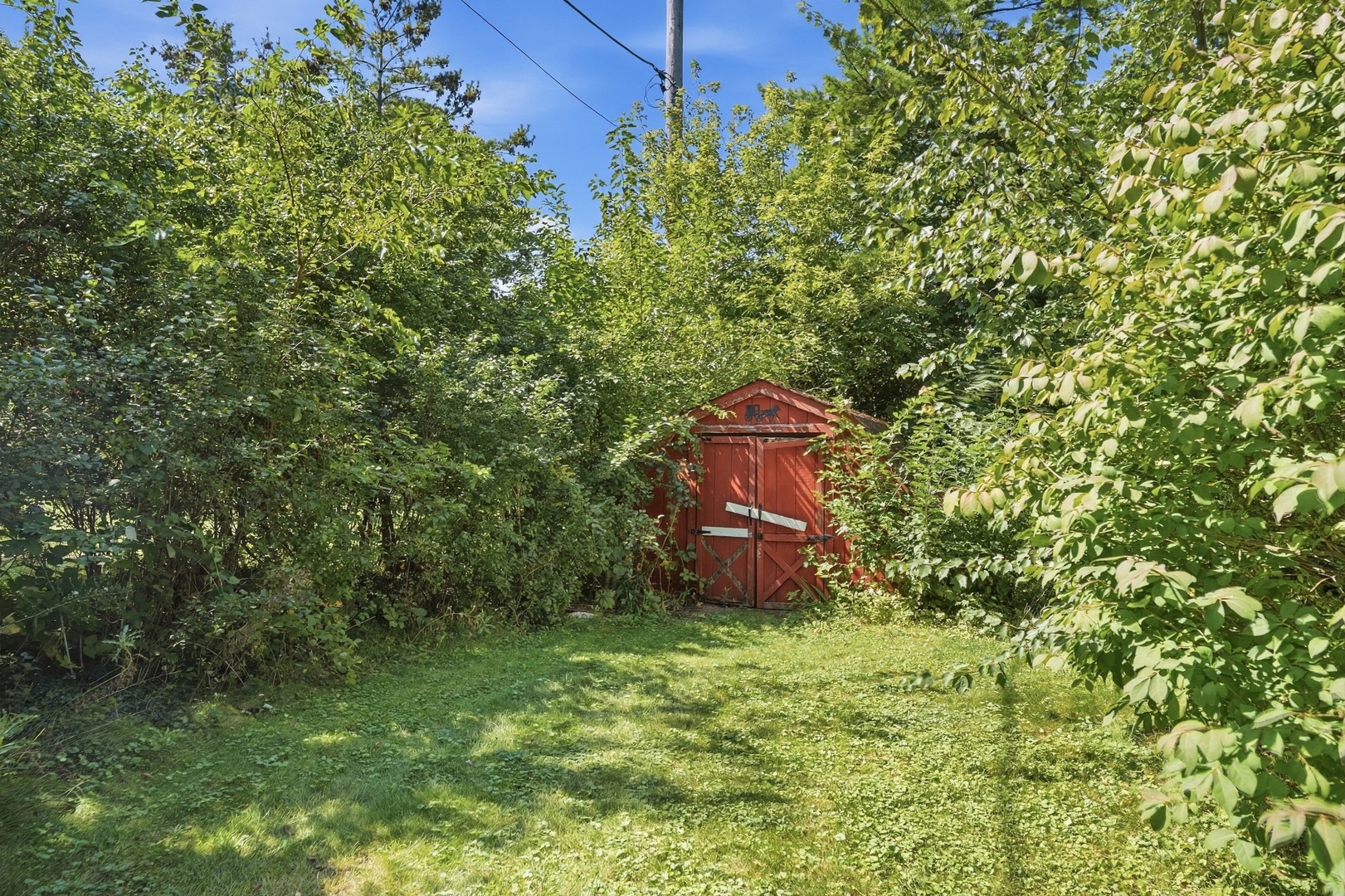 12703974 Property Photo 23
