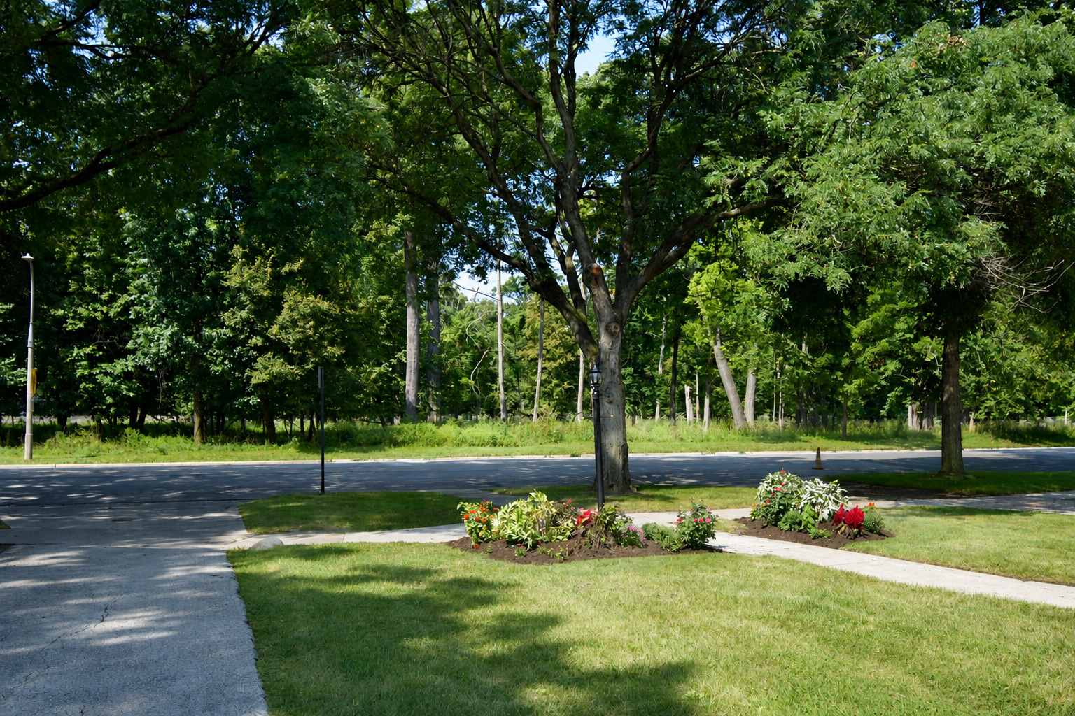 1131 Thatcher Avenue Property Photo 38