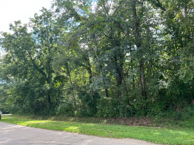 202 Lake Thunderbird Drive Property Photo 1