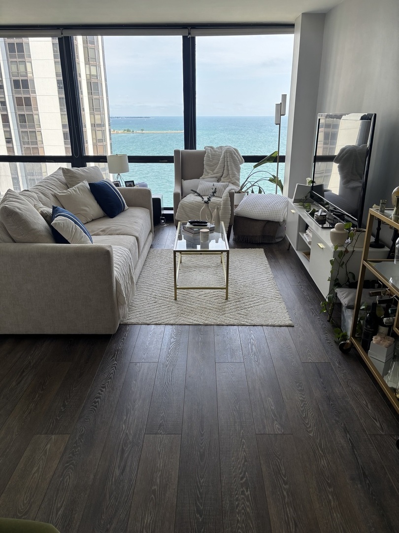 900 N Lake Shore Drive 2111 Property Photo 4