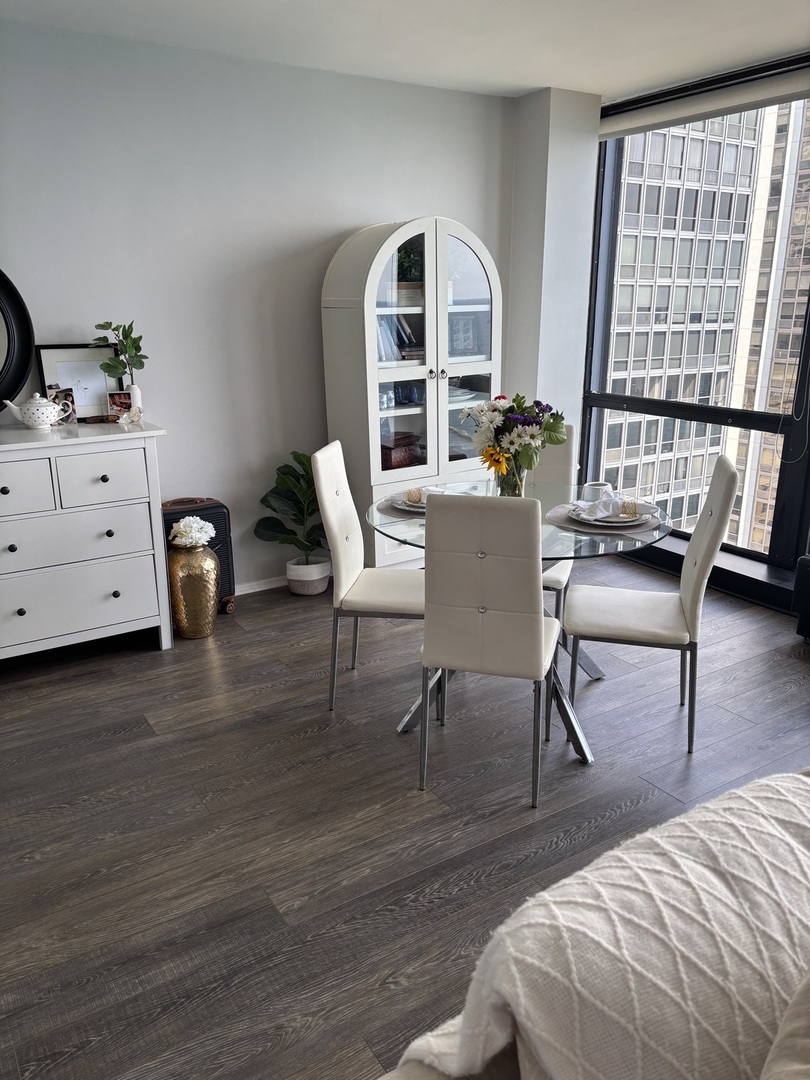900 N Lake Shore Drive 2111 Property Photo 5