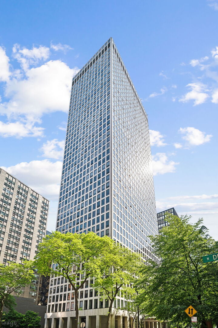 260 E Chestnut Street 512 Property Photo 1
