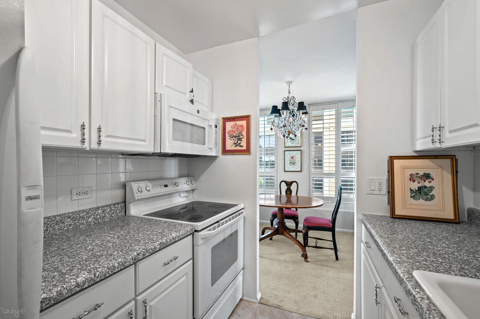 260 E Chestnut Street 512 Property Photo 8