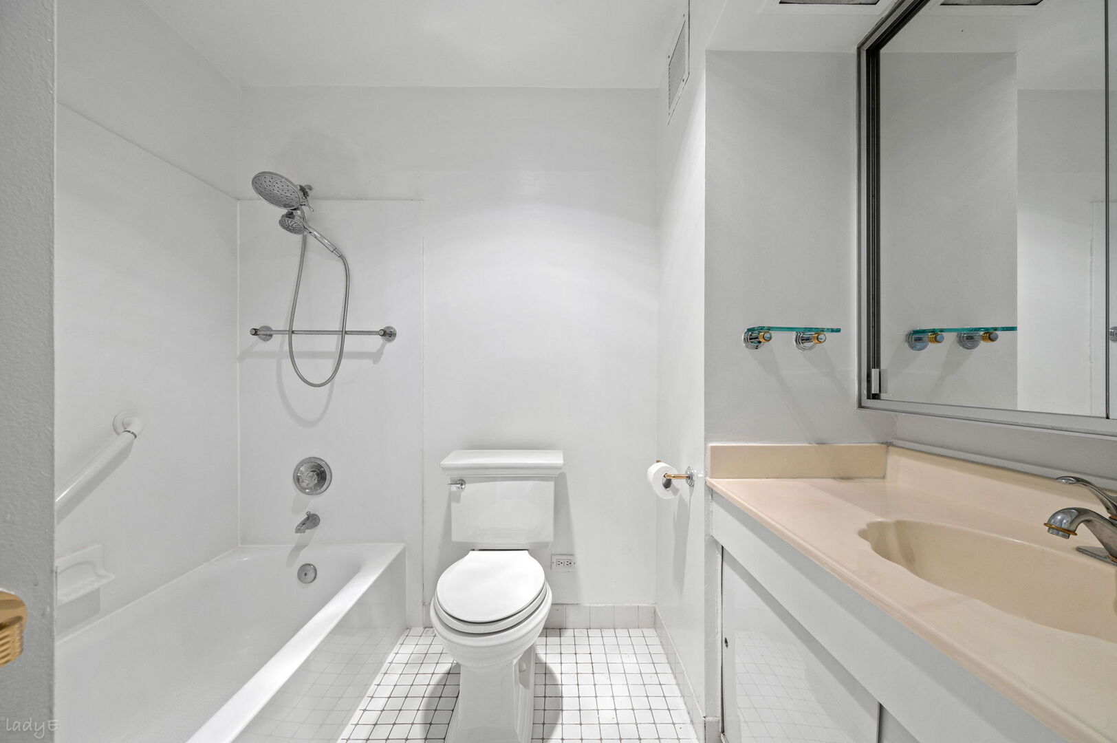 260 E Chestnut Street 512 Property Photo 14