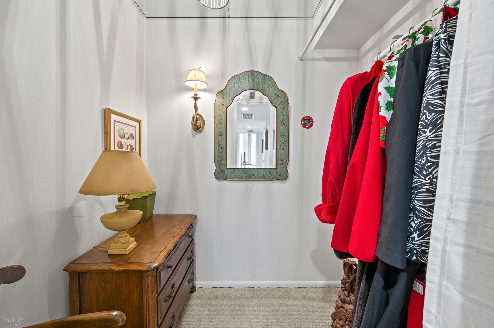 260 E Chestnut Street 512 Property Photo 15