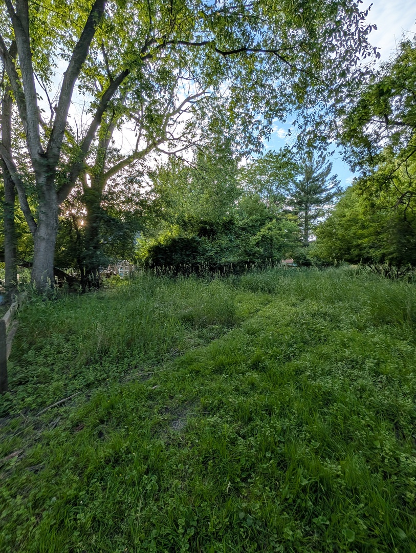 521 S Circle Avenue Property Photo 7