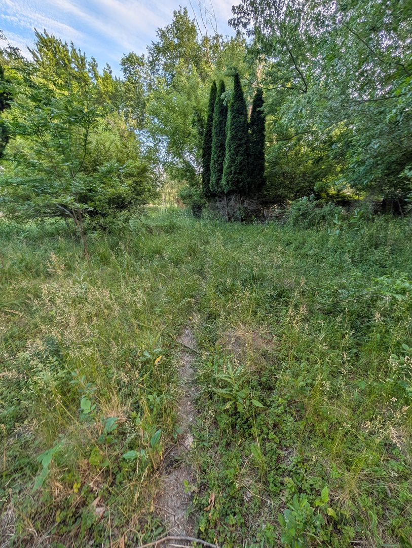 521 S Circle Avenue Property Photo 8