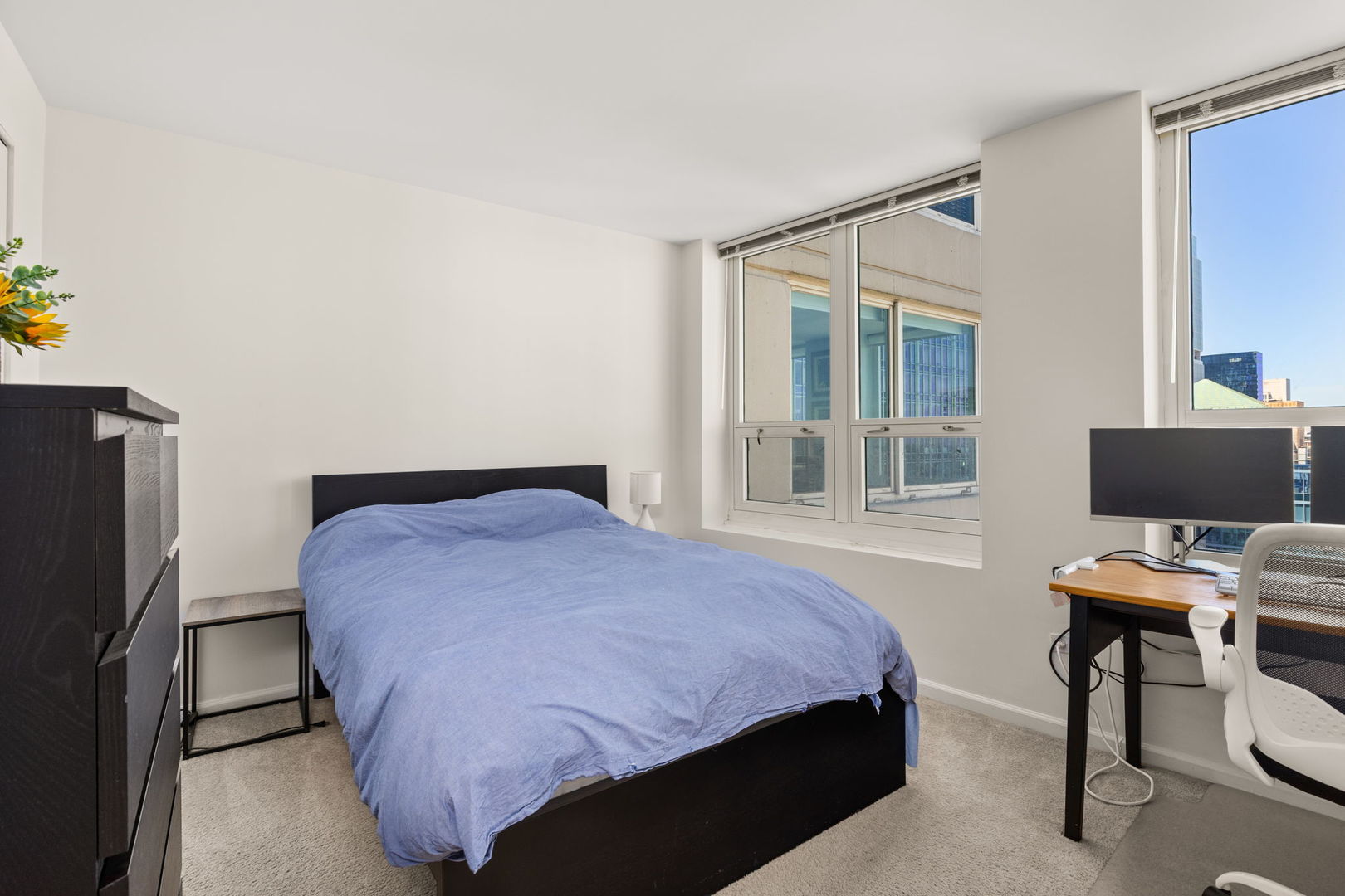 345 N La Salle Drive 3401 Property Photo 15