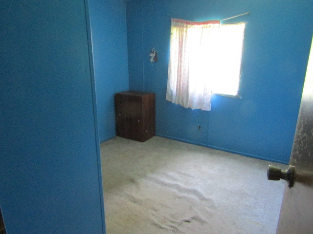 302 Dunn Street Property Photo 12