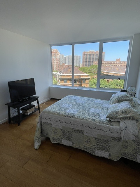 3930 N Pine Grove Avenue 707 Property Photo 15