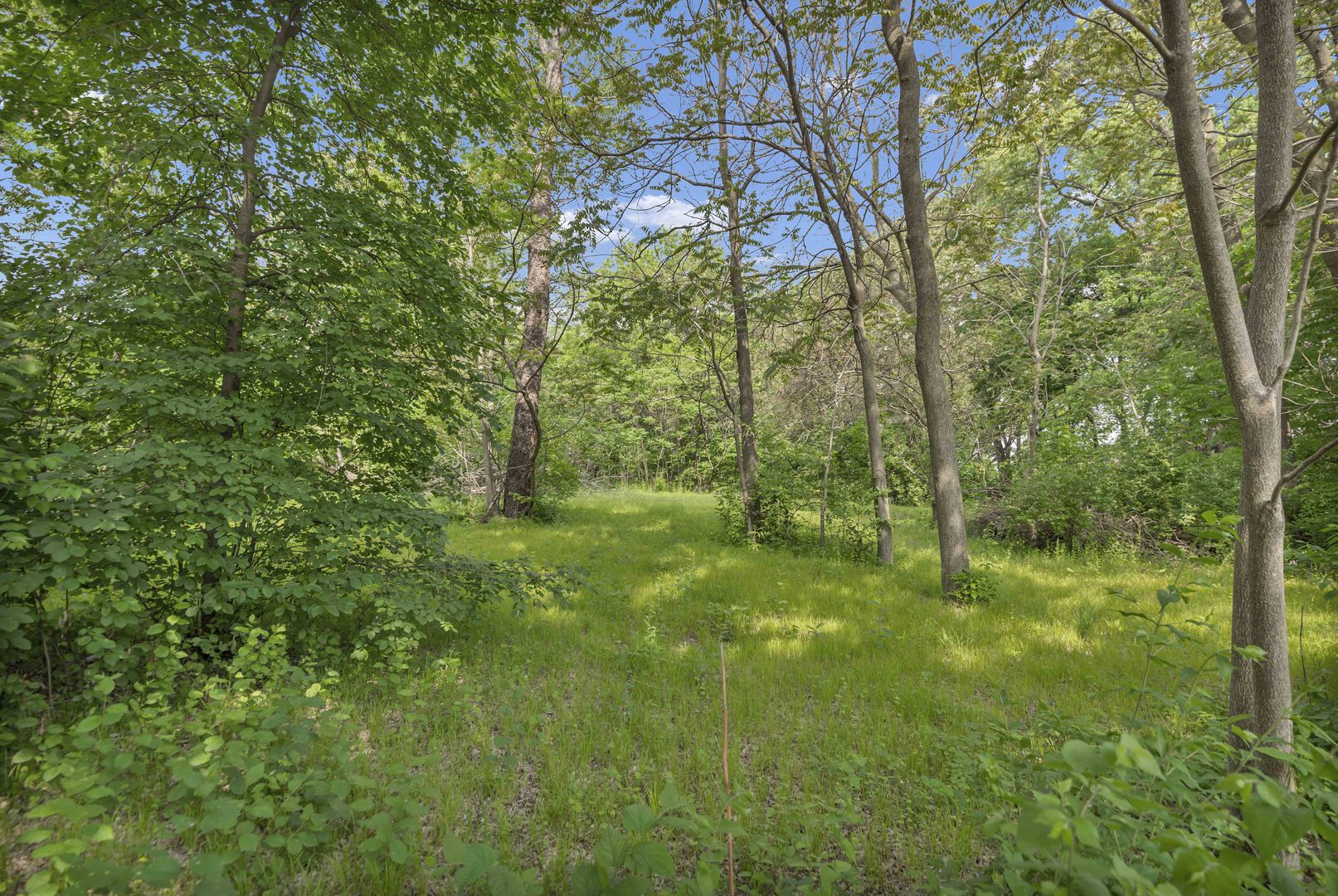 2623 Essington Road Property Photo 4