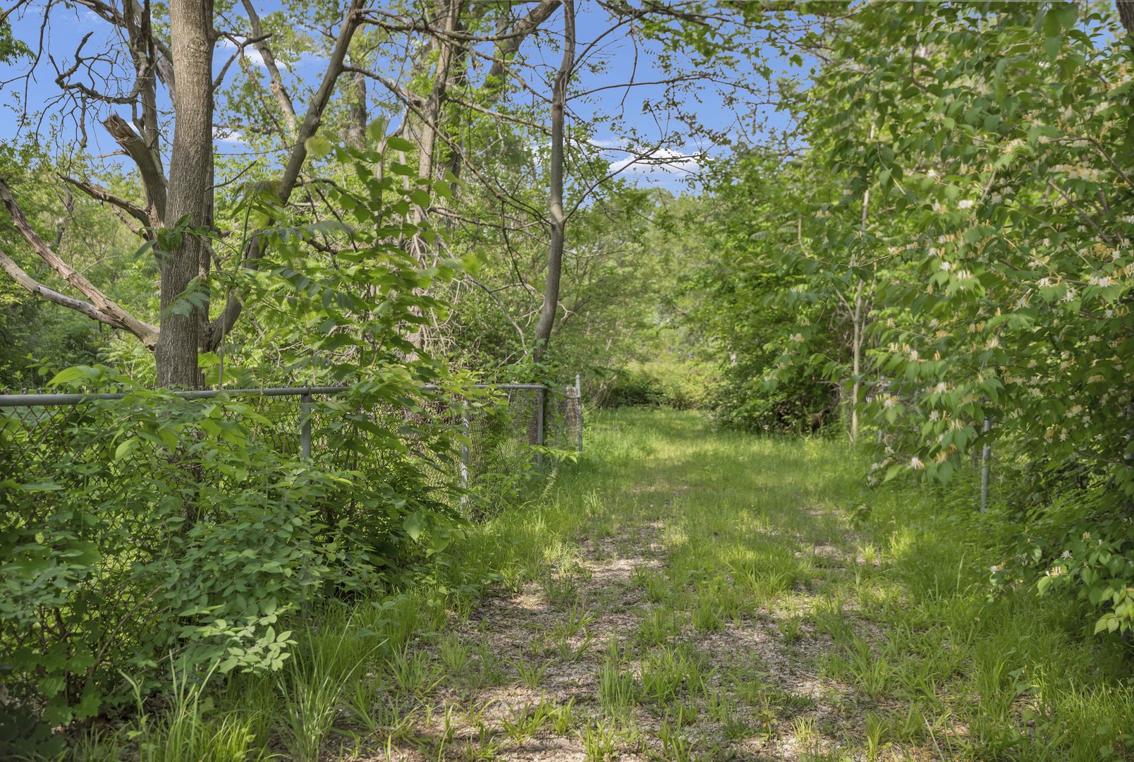 2623 Essington Road Property Photo 5