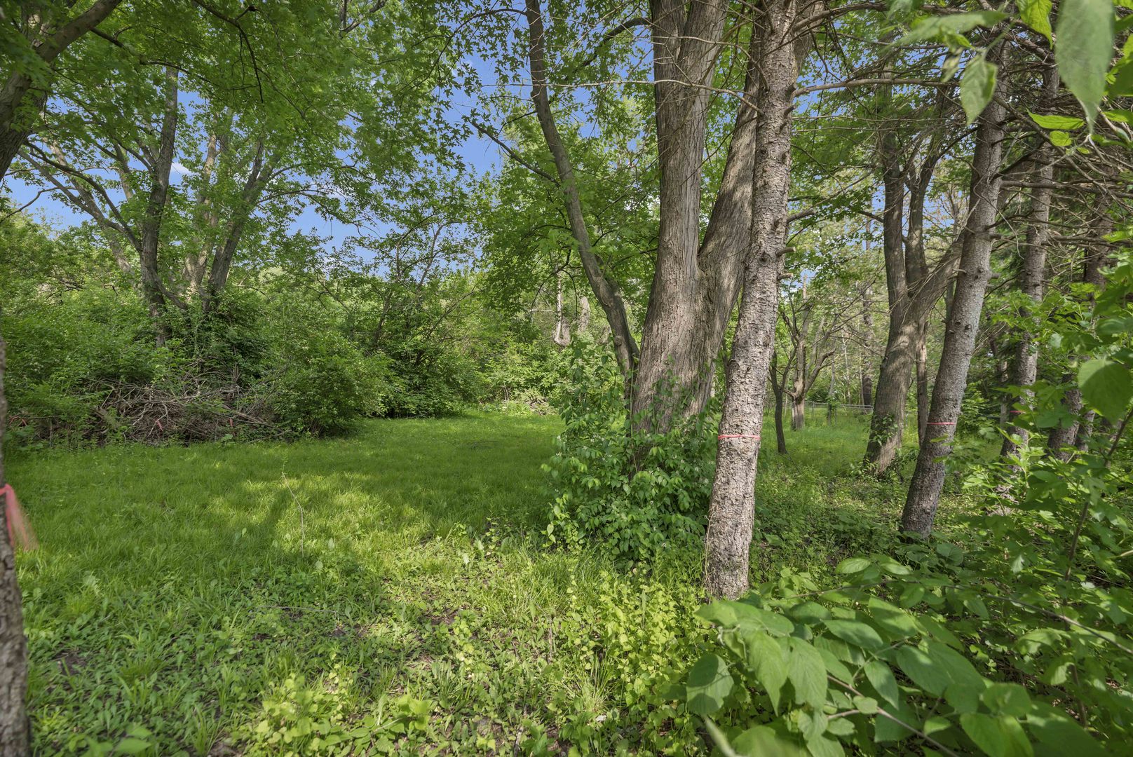 2623 Essington Road Property Photo 6