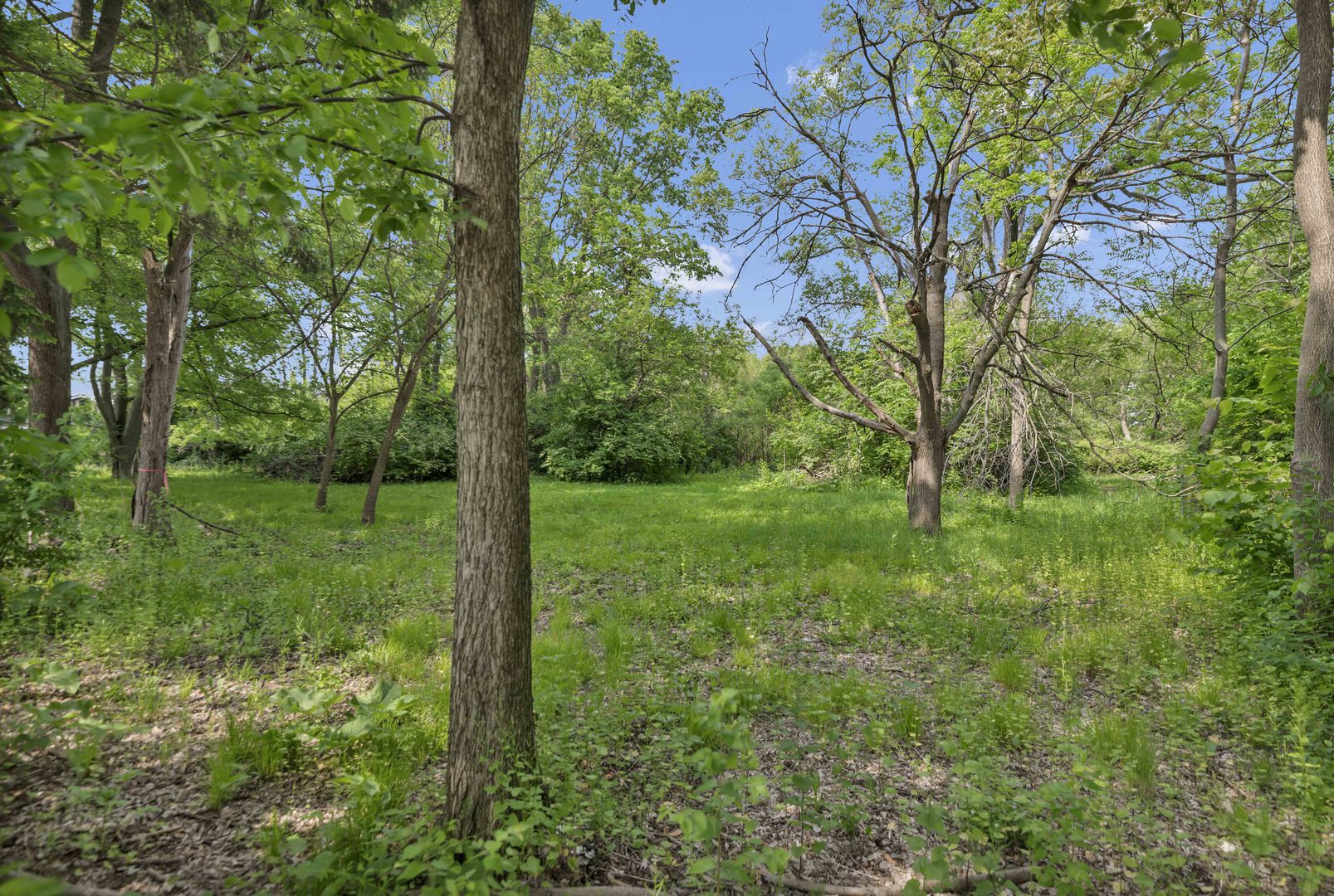 2623 Essington Road Property Photo 7