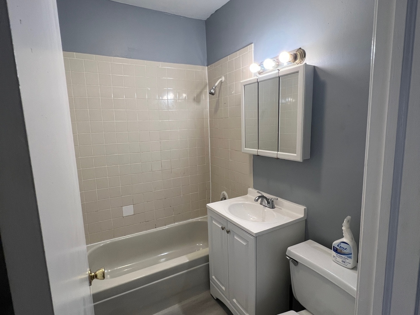 541 E 60th Street 1a Property Photo 8