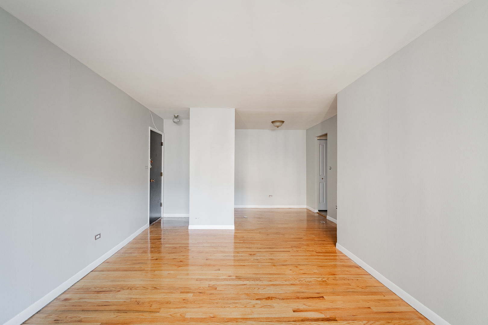 541 W Oakdale Avenue 312 Property Photo 4