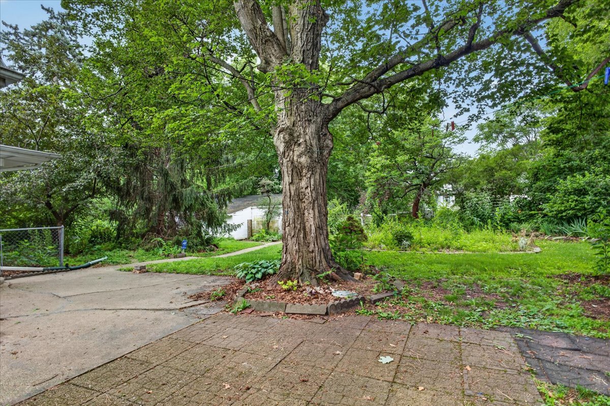 732 John Street Property Photo 44