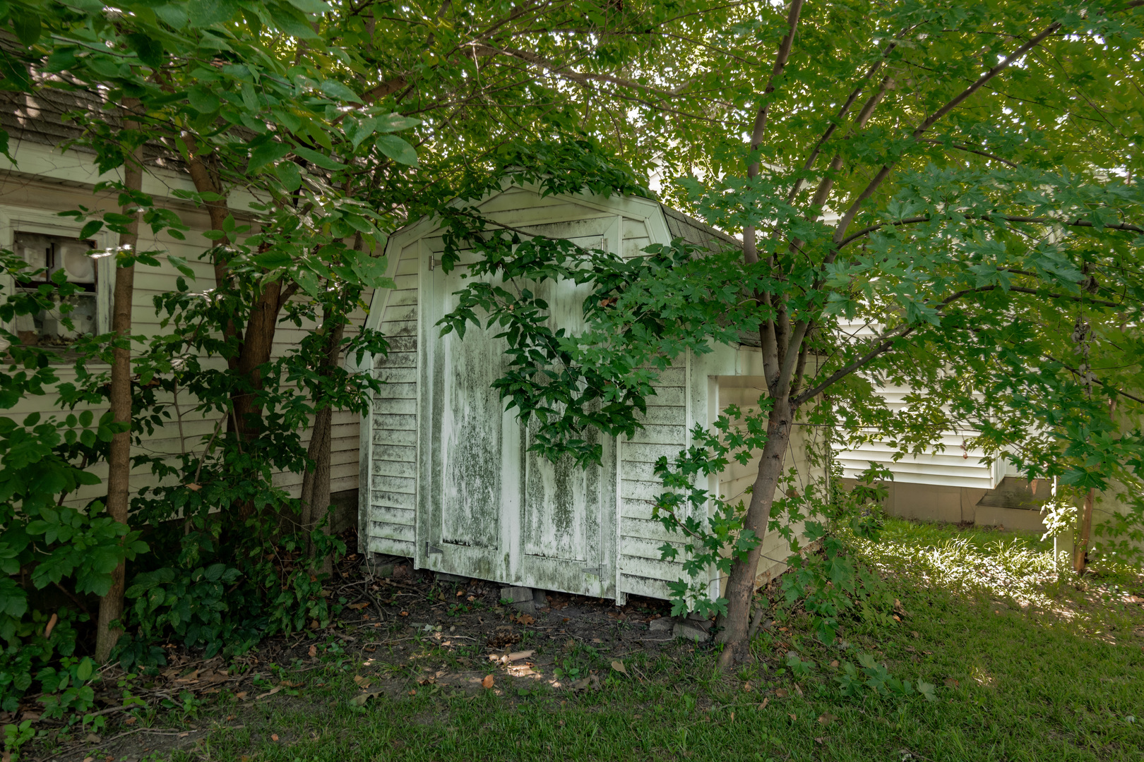 1109 N Mill Street Property Photo 36