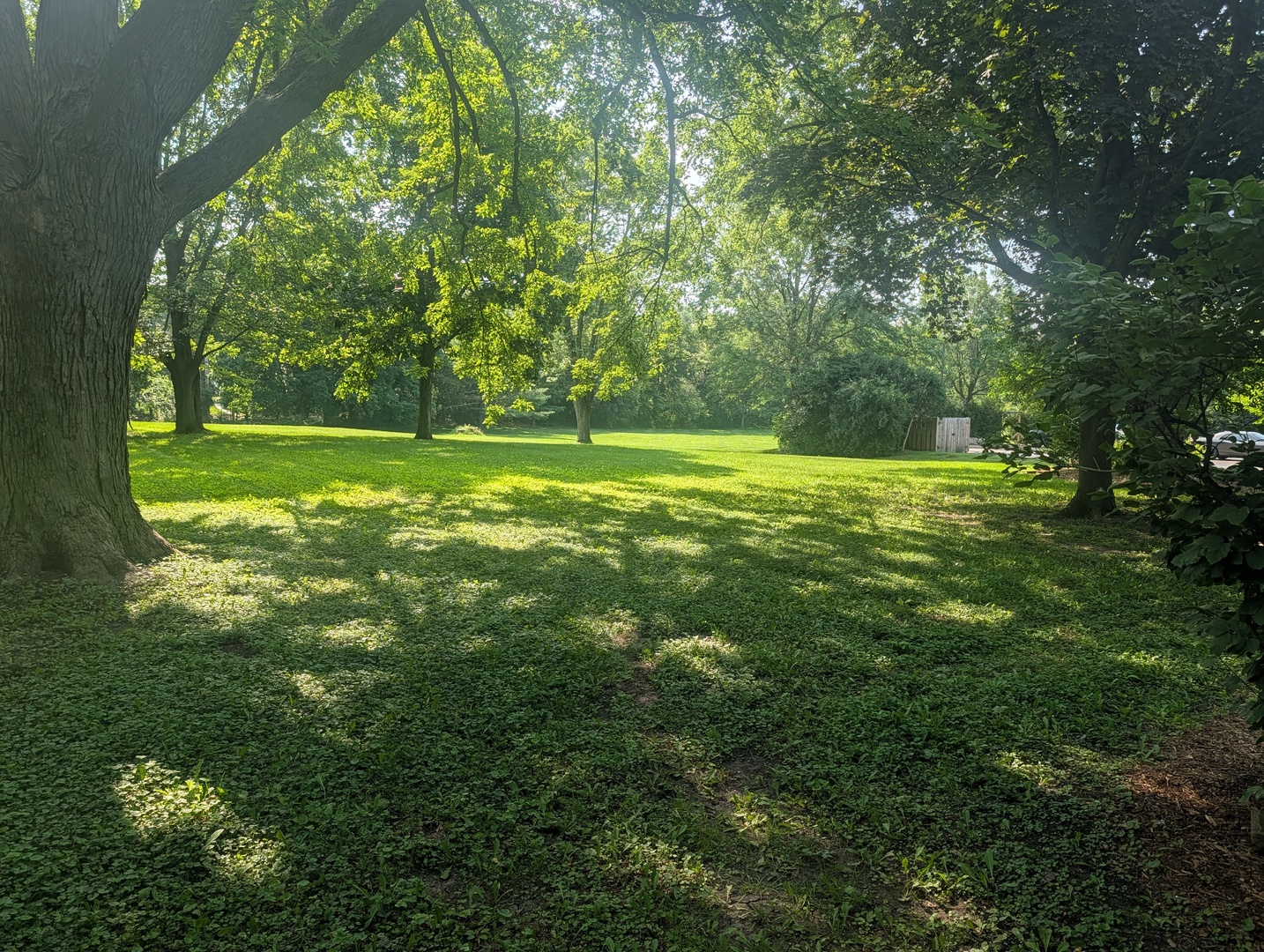 71 N Ela Road Property Photo 26
