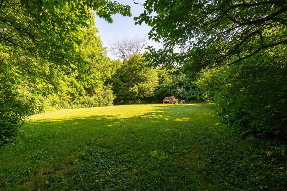 28 Burr Oaks Lane Property Photo 5