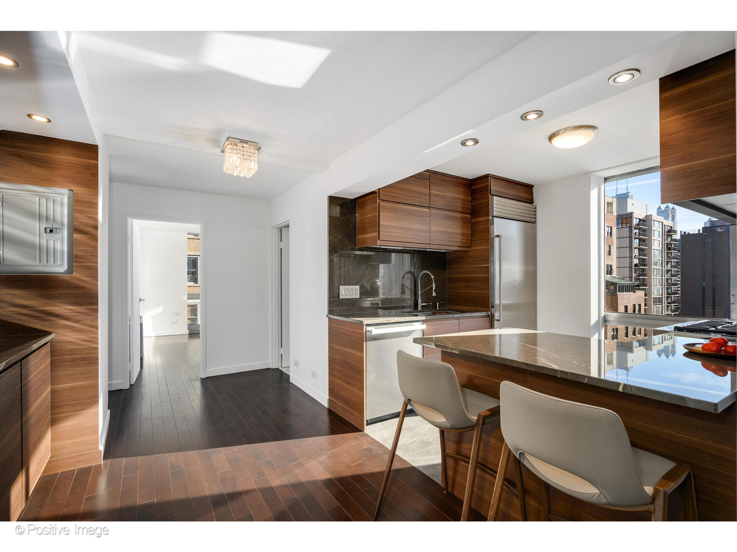 1555 N Dearborn Parkway 14ab Property Photo 11