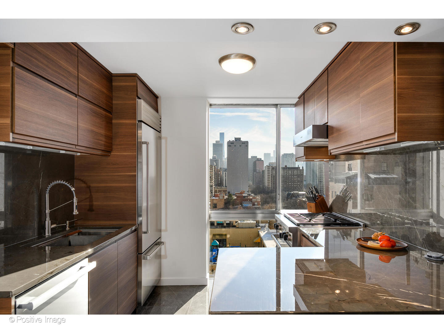 1555 N Dearborn Parkway 14ab Property Photo 12
