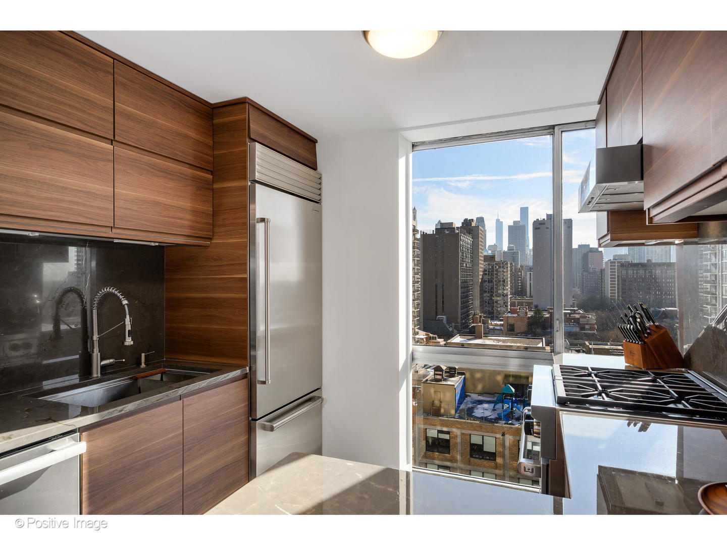1555 N Dearborn Parkway 14ab Property Photo 13