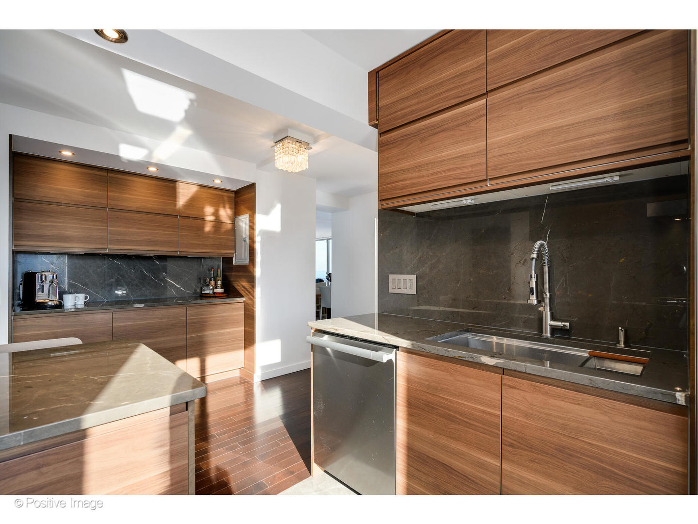 1555 N Dearborn Parkway 14ab Property Photo 15