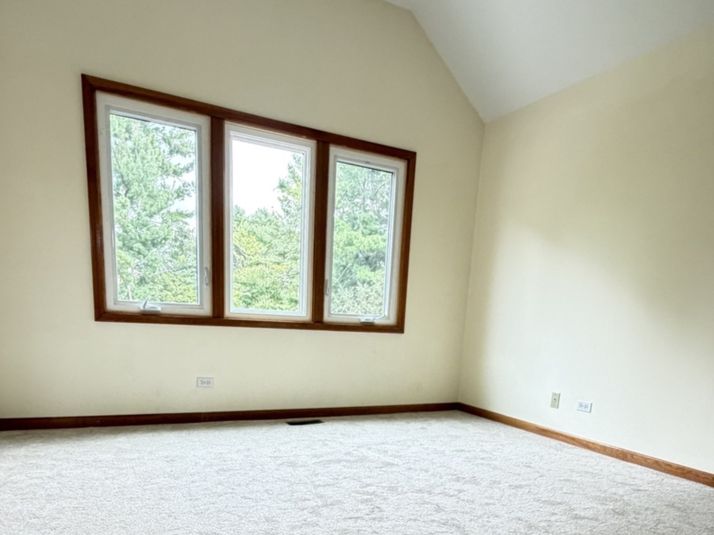 1660 Whistler Court Property Photo 48