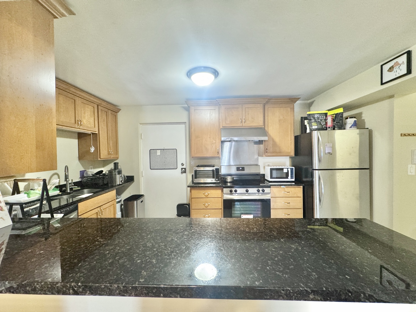 3217 W Bryn Mawr Avenue 201 Property Photo 8