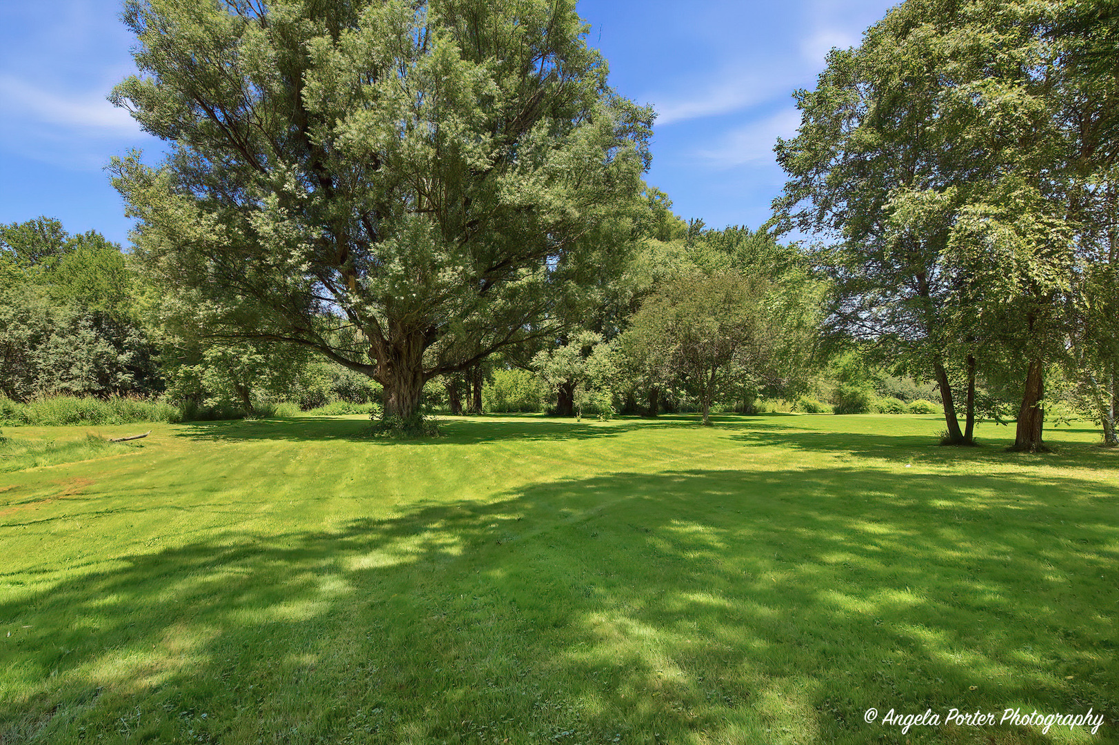 5124 Bonnie Brae Road Property Photo 6